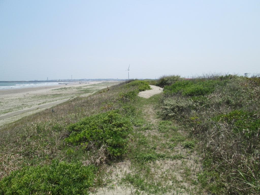 公園の散策路