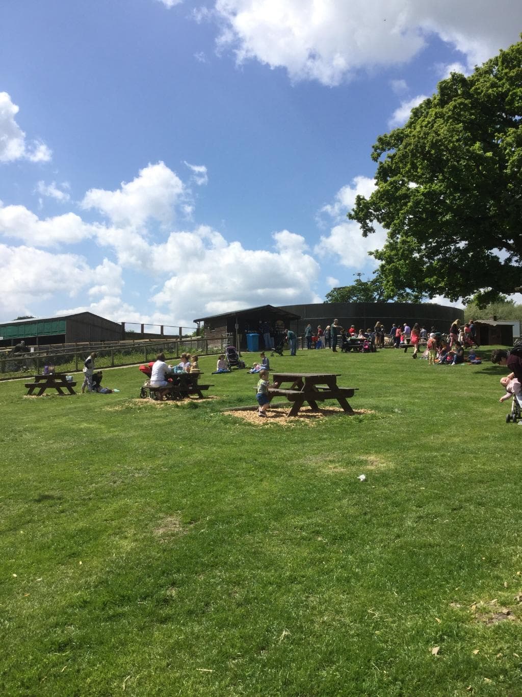 Super activity farm especially on a sunny day