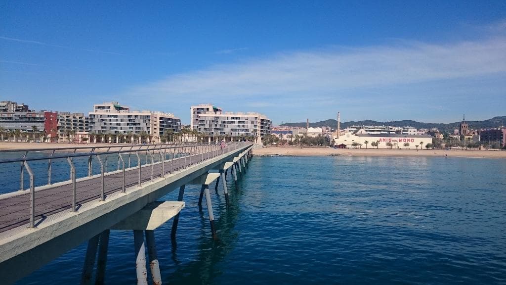 Vista desde el puente