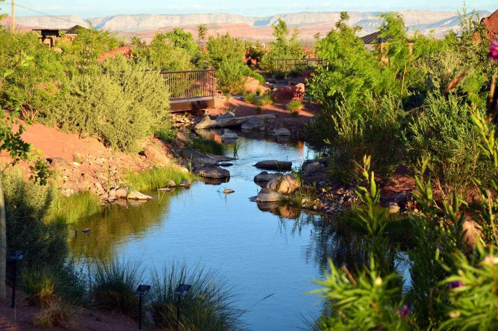A pond and foliage at Red Hills Desert Garden