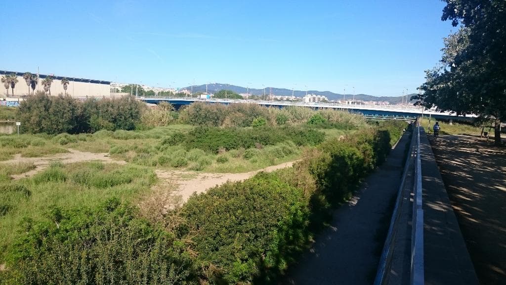Parc Fluvial del Besós