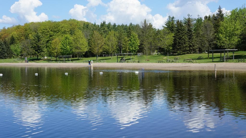 Shade's Mills Forest