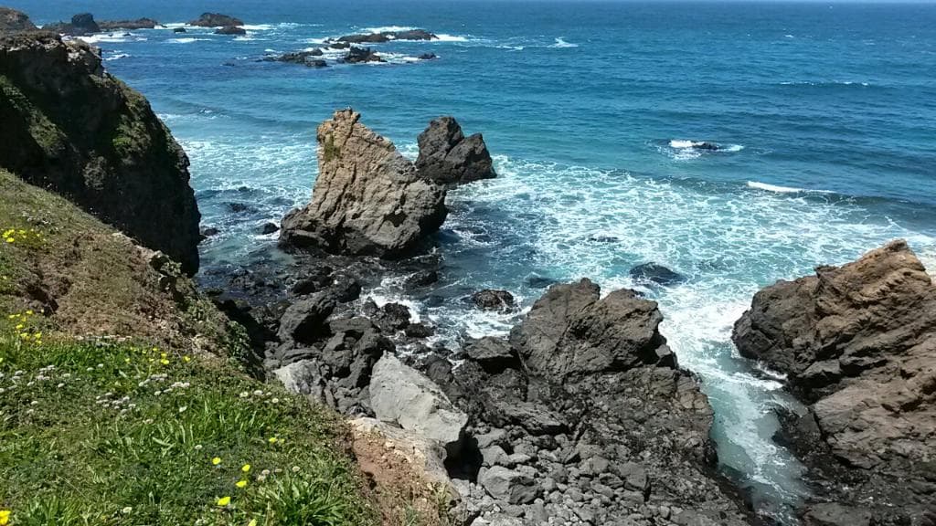 Jug Handle State Natural Reserve