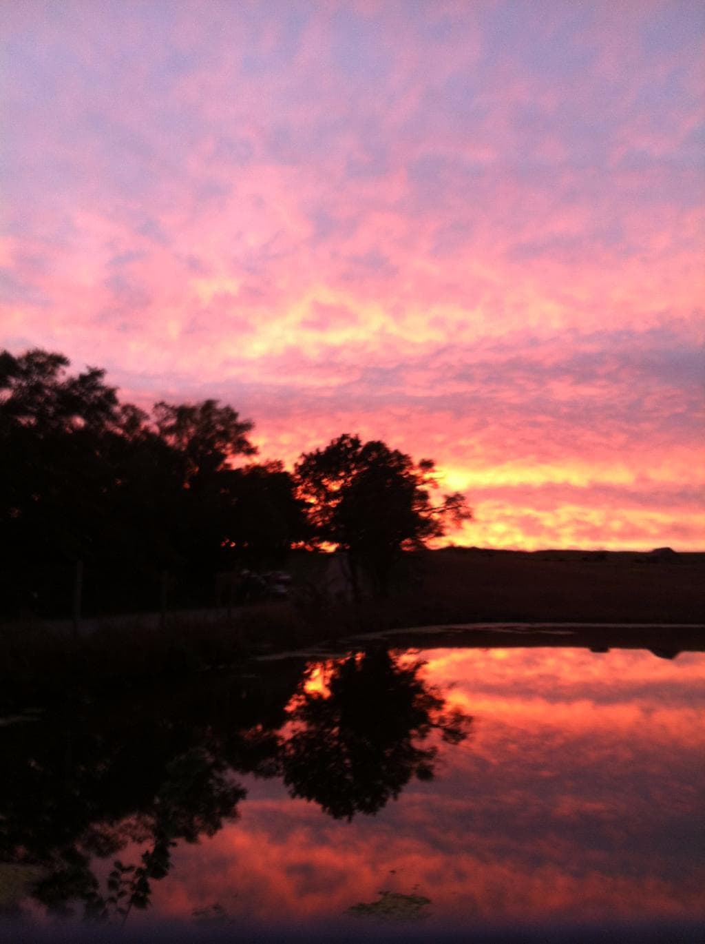 Sunset over the pond behind the nature center