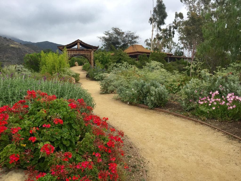 Meditation Mount Ojai