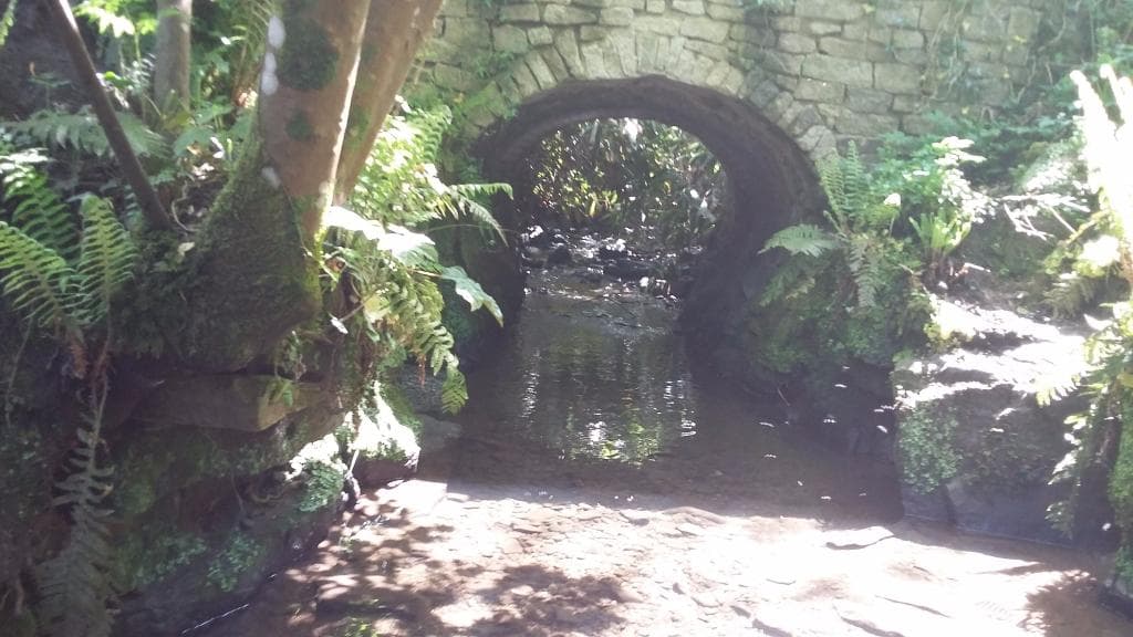 Belvoir forest park