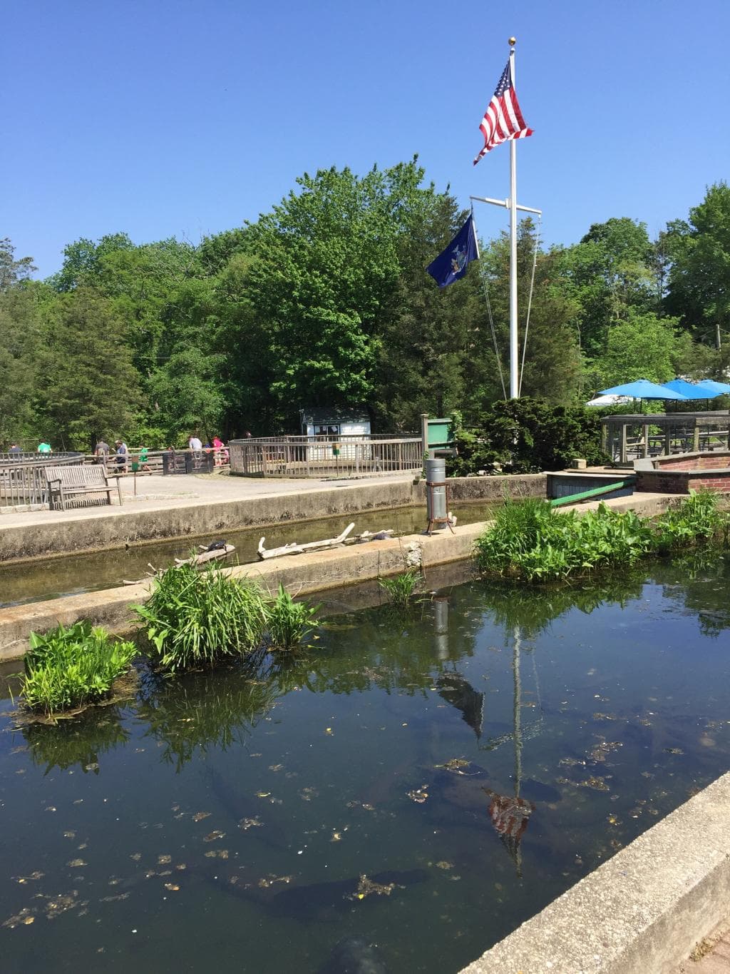 Cold Spring Harbor Fish Hatchery & Aquarium