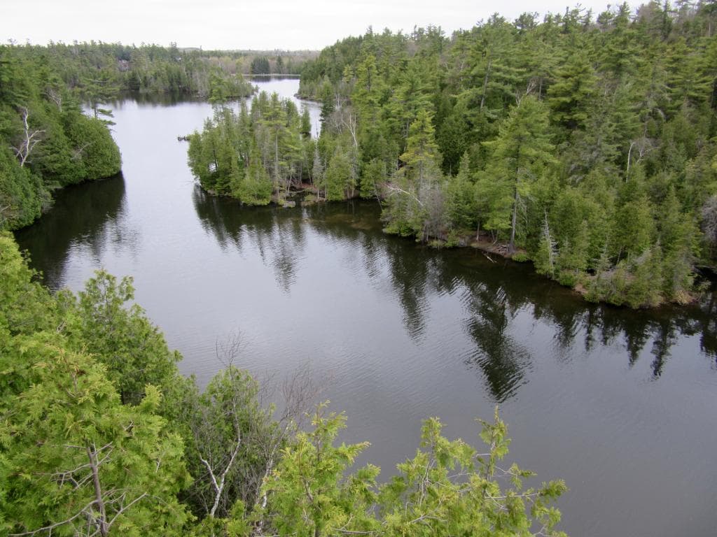View down the Eramosa River