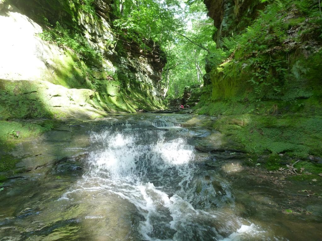 One of several Falls along the walk in the stream