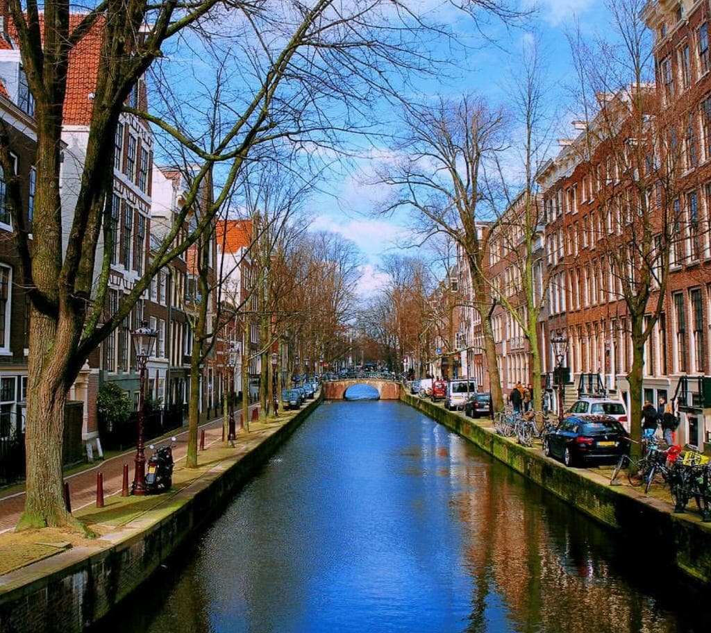 Singel