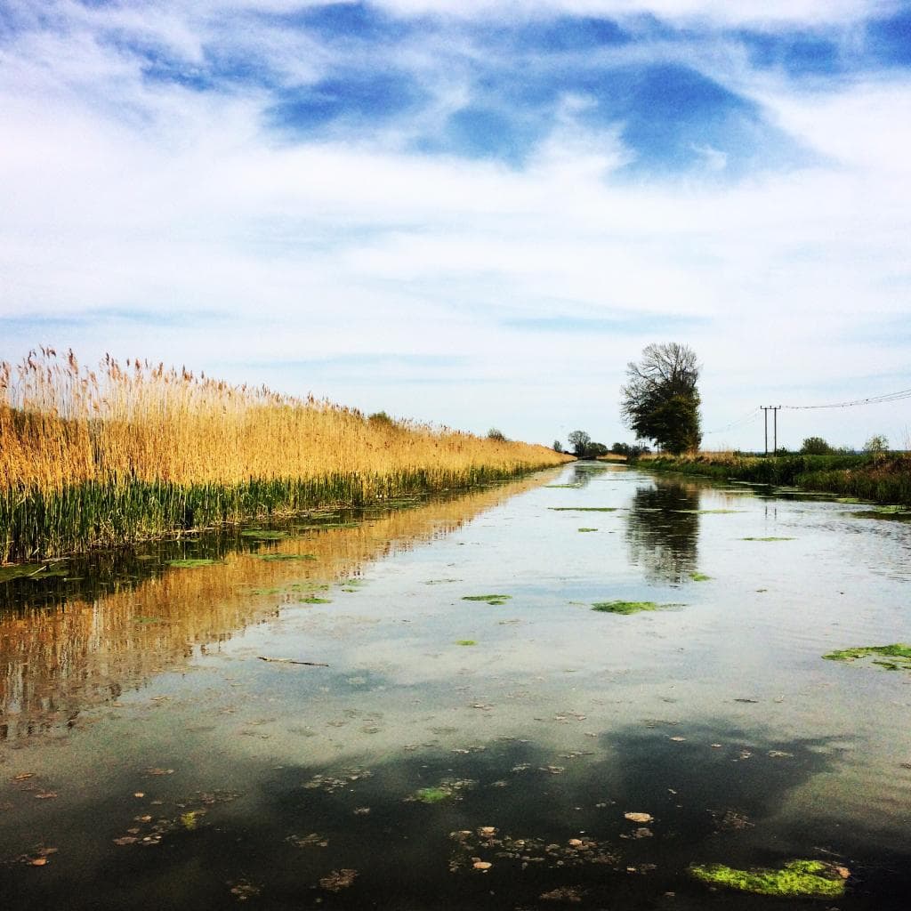 Wicken Fen