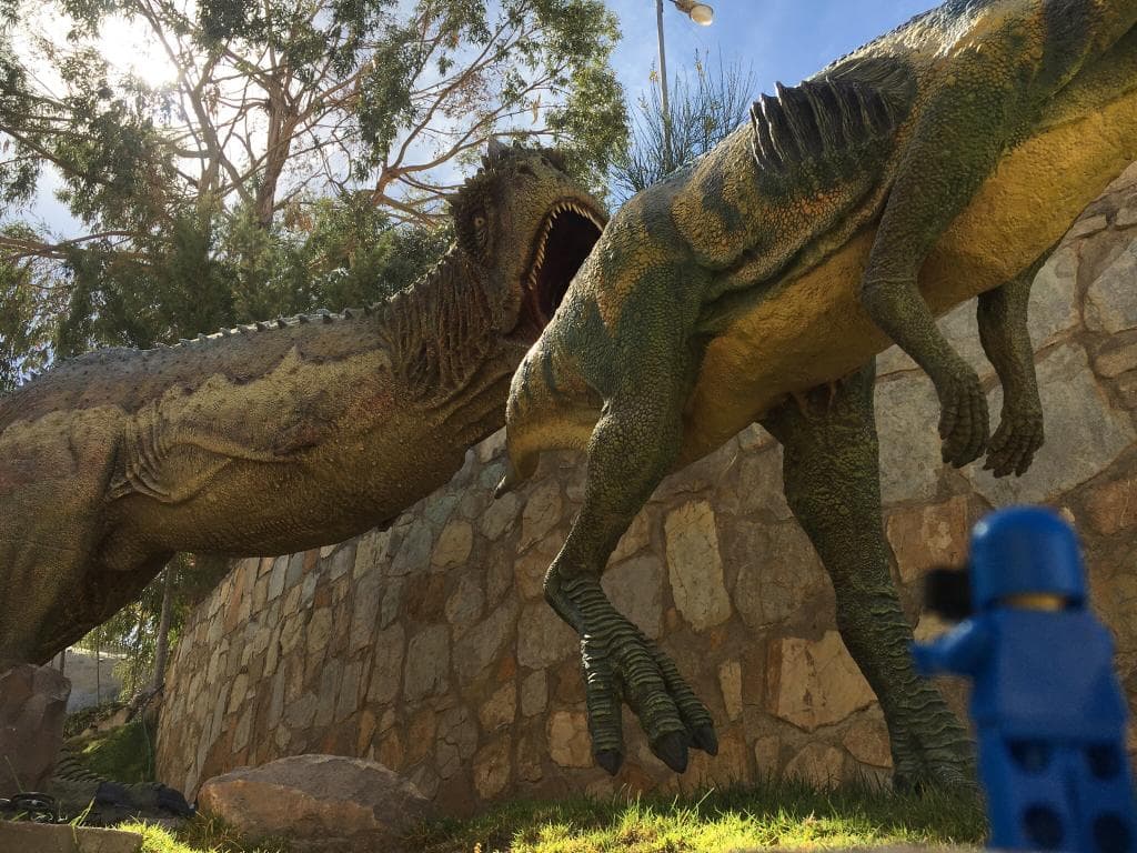Cal Orck'o Dinosaur Tracksite