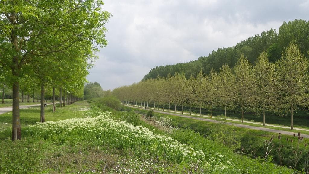 Parc du Grand Marais