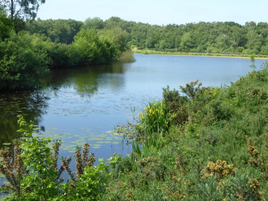 One of several meres