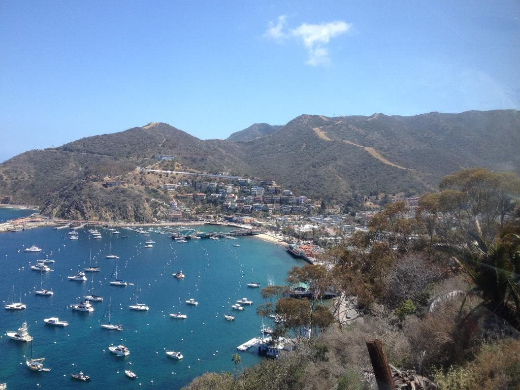 Utsikten över Avalon.