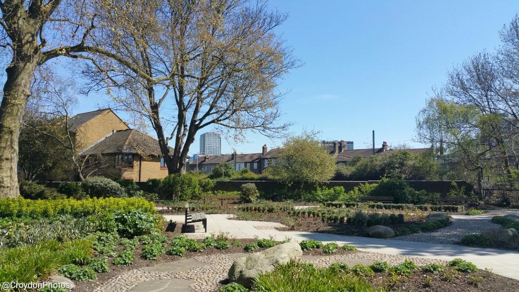 Varied beauty in Wandle Park 