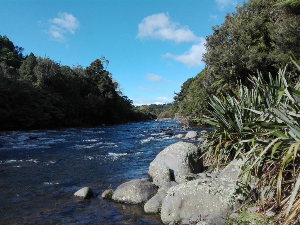 Peaceful walk beside the river on a crisp winters morning