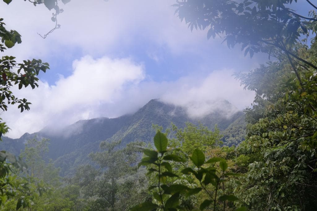 Millet Bird Sanctuary - view
