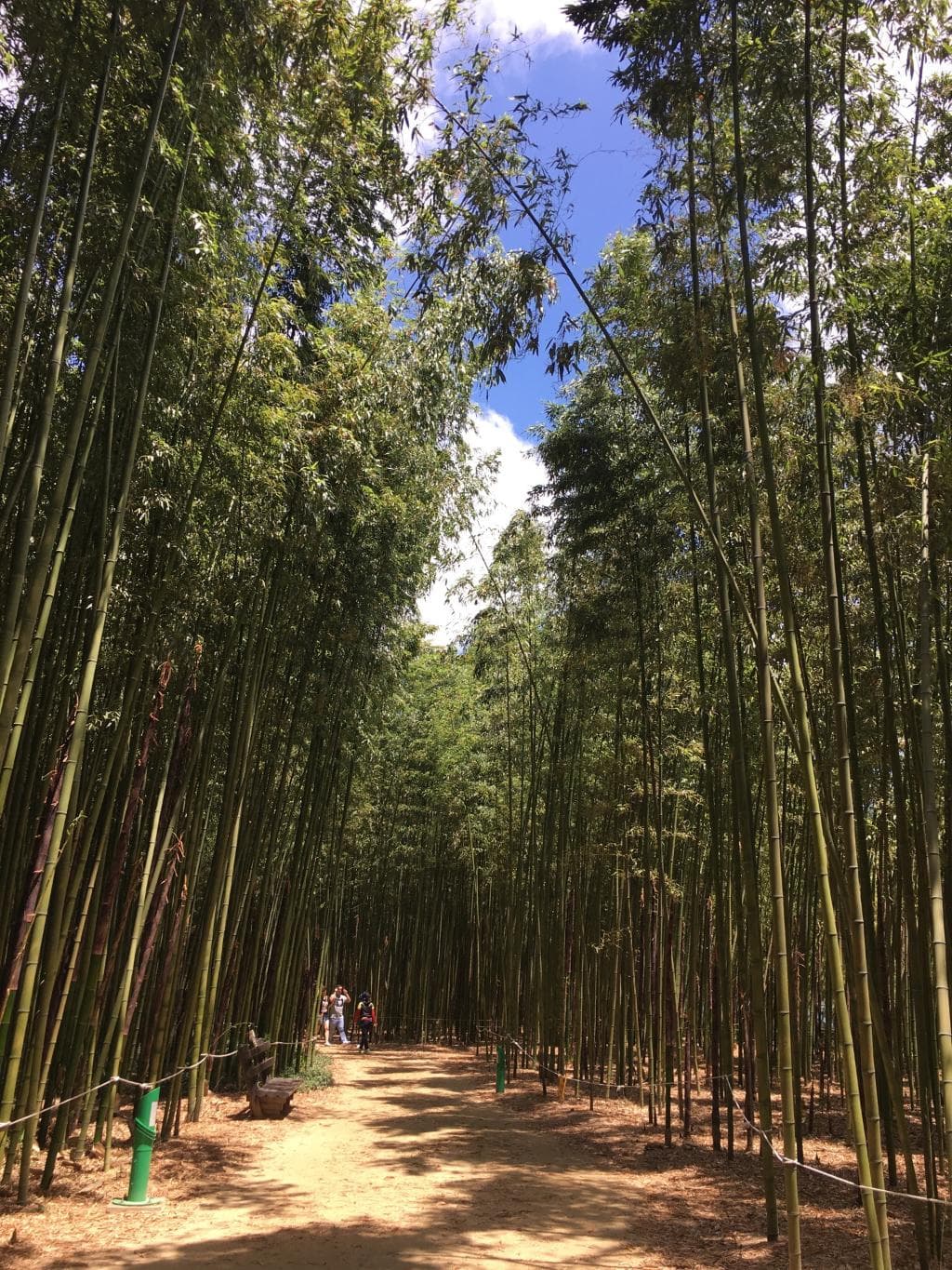 Uravu Bamboo Village Thrikkaipatta