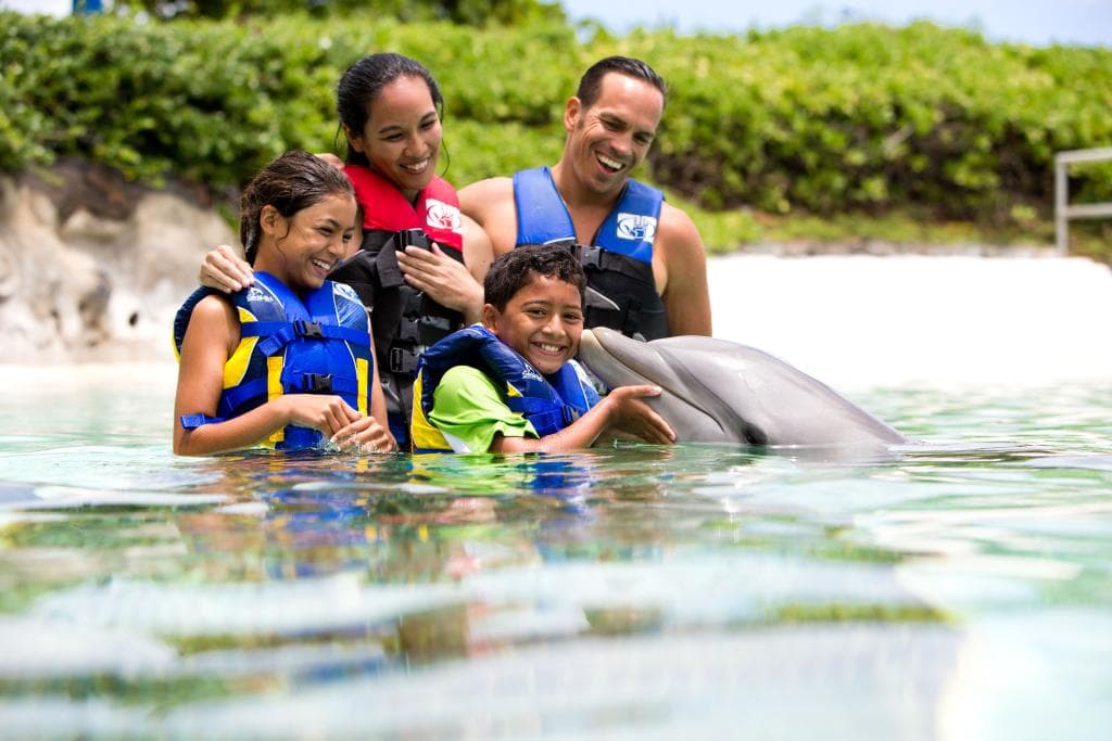 Dolphin Encounter