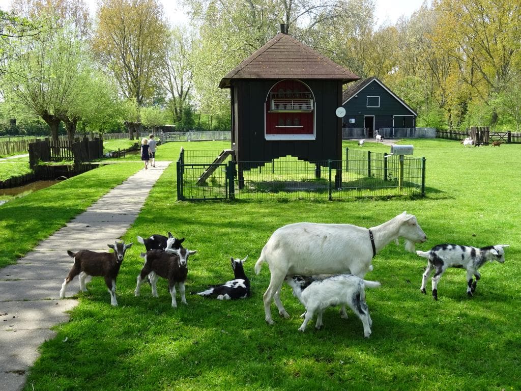 speelboerderij elsenhove amstelveen mei 2016