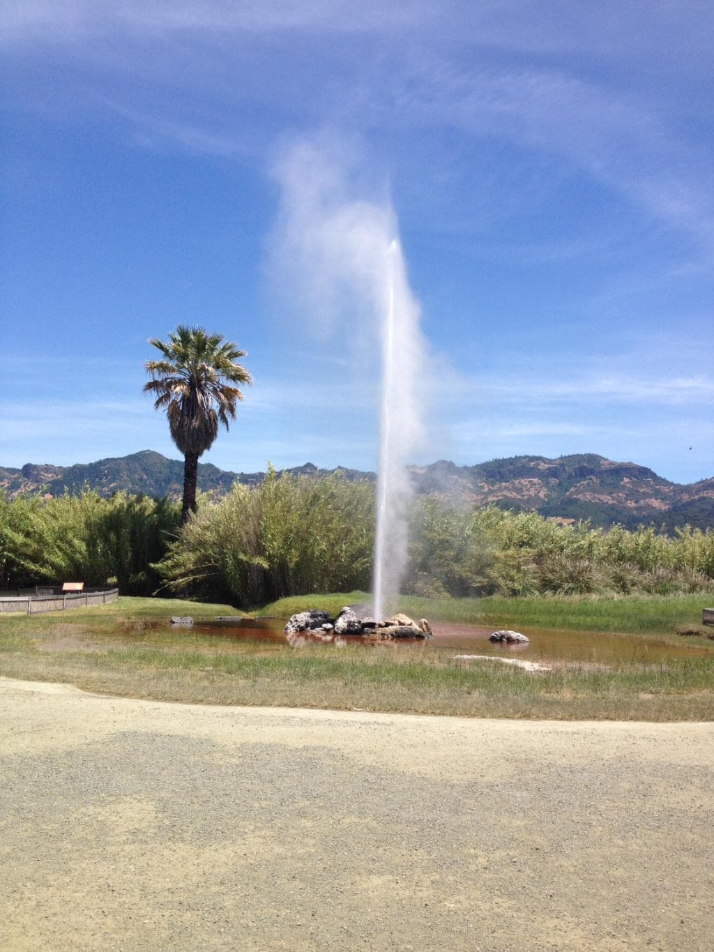 Calistoga Geyser
