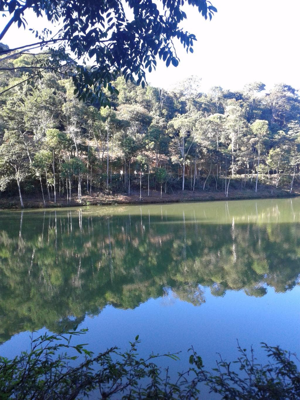 Caminhando em torno do Lago.