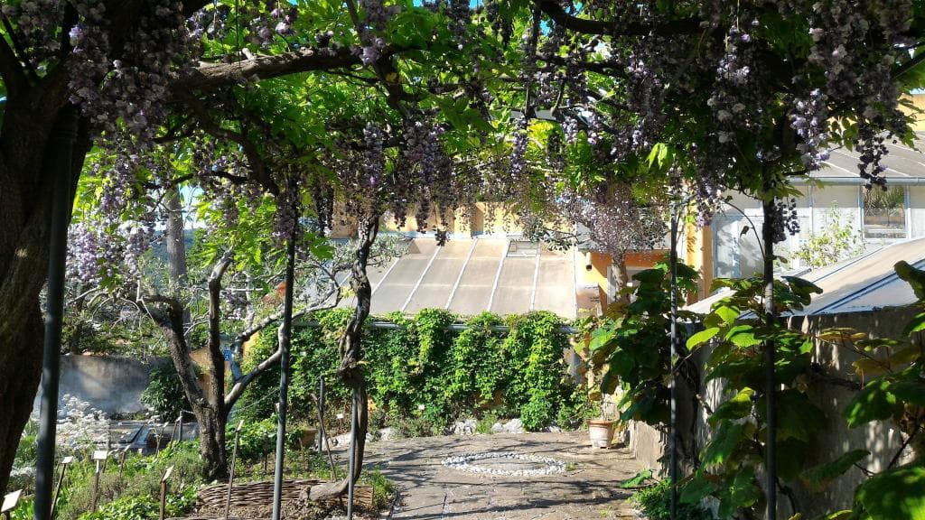 Civico Orto Botanico di Trieste