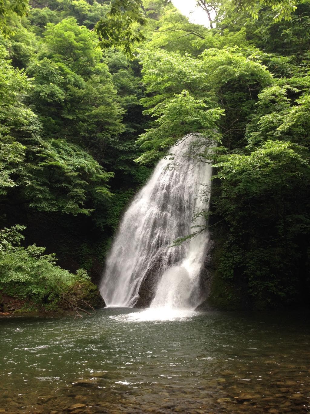 Shirakami-Sanchi Anmon Visitor Center