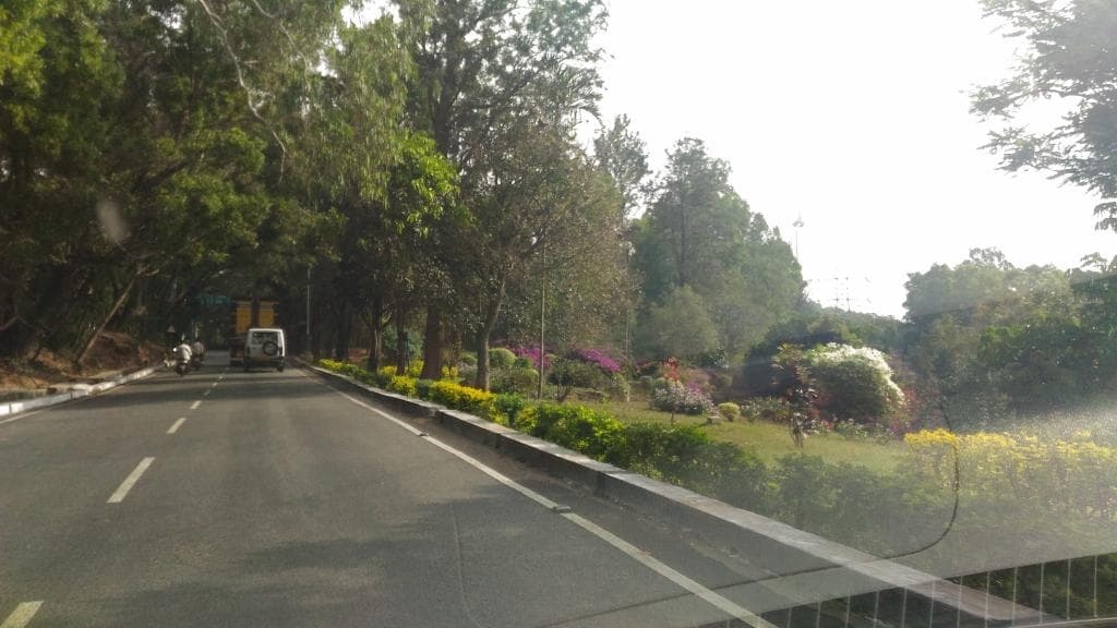 Gardens all along the way in Tirumala