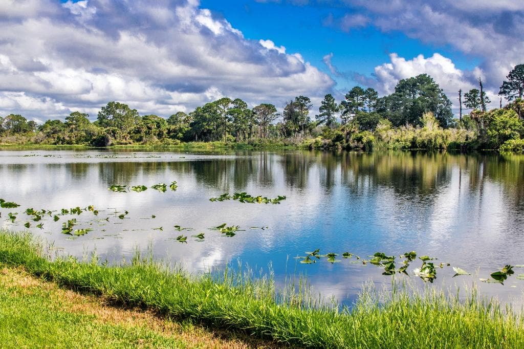 Looking to the NW at Fox Lake