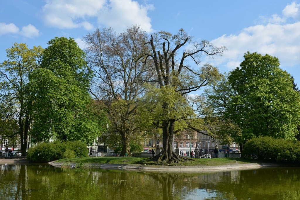 Park - widok na wysepkę