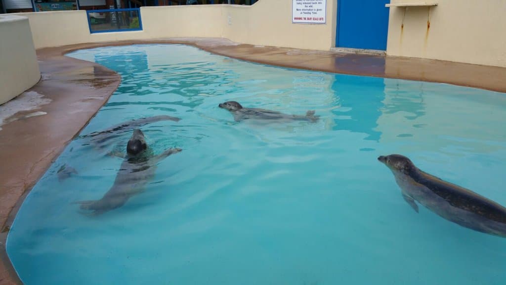 Natureland Seal Sanctuary