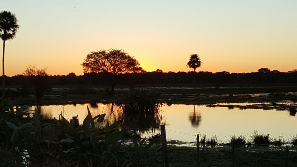 Parque Nacional Chaco Argentina