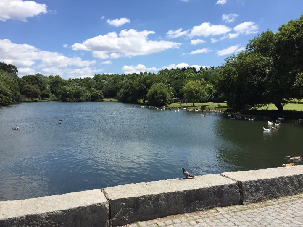 Parque da Cidade José Rollemberg Leite