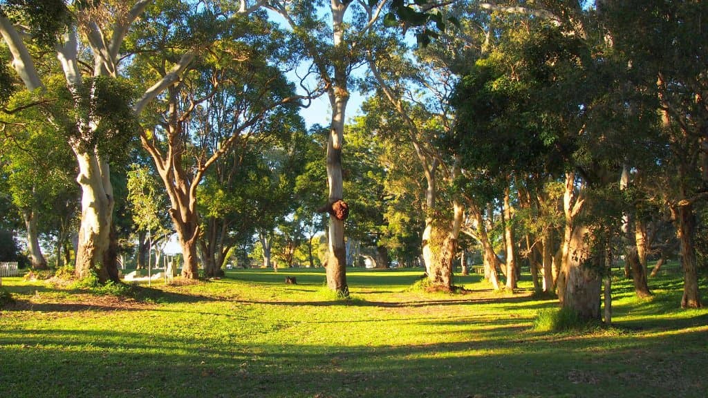 Dunwich Cemetery Stradbroke Island