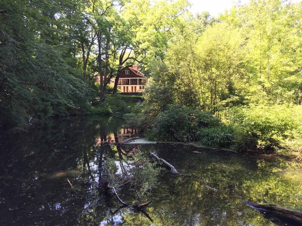 View along the boardwalk.
