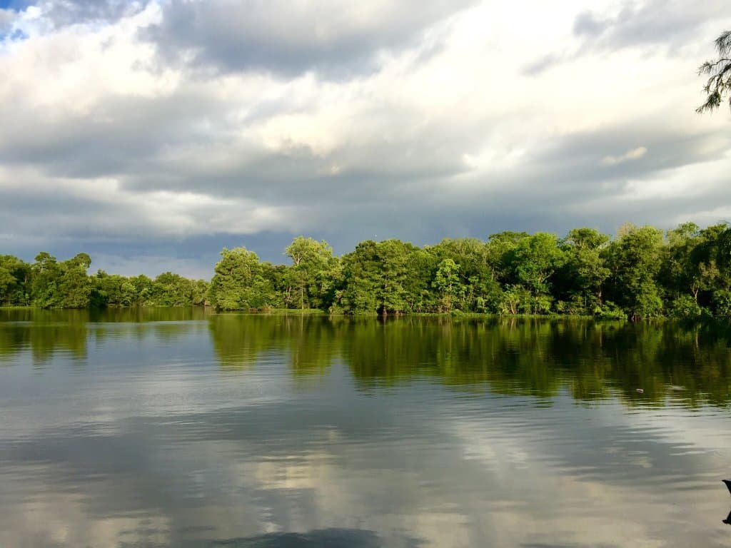 Lake Fausse Pointe State Park