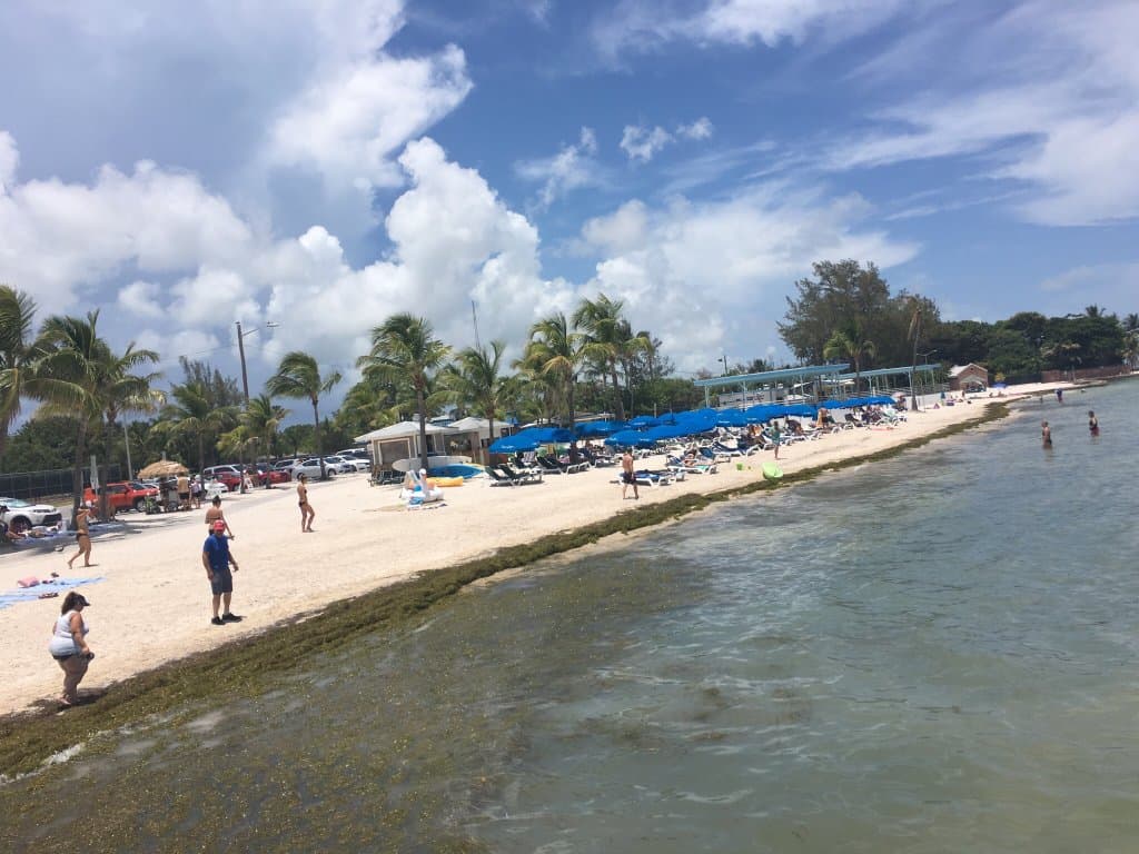 African Cemetery at Higgs Beach