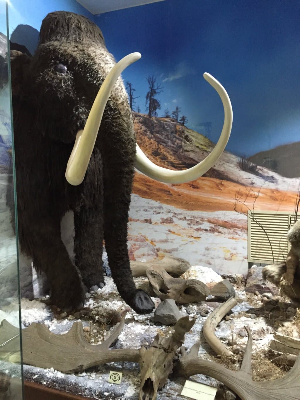 Novokuznetsk Museum of Local Lore