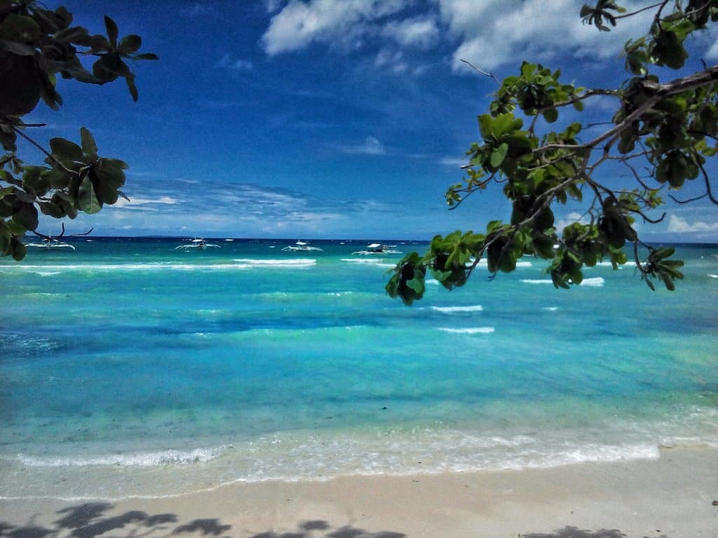 Look at that beauty (@forevercurious)