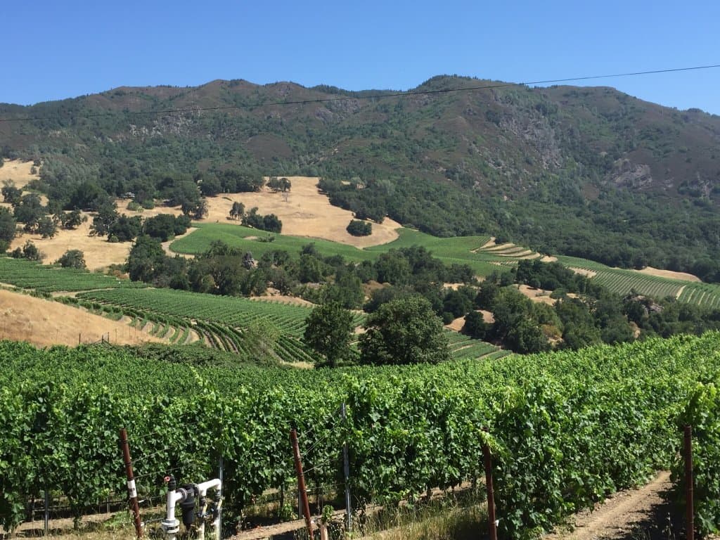 Stonestreet Estate Vineyards