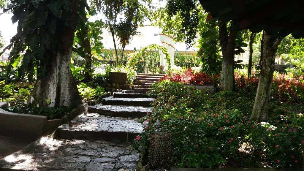 Parque Ruber Van Der Linden Pau Pombo