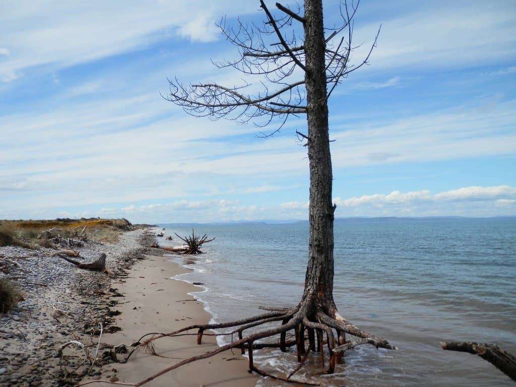 The beach, looking towards the Black Isle and Cromerty
