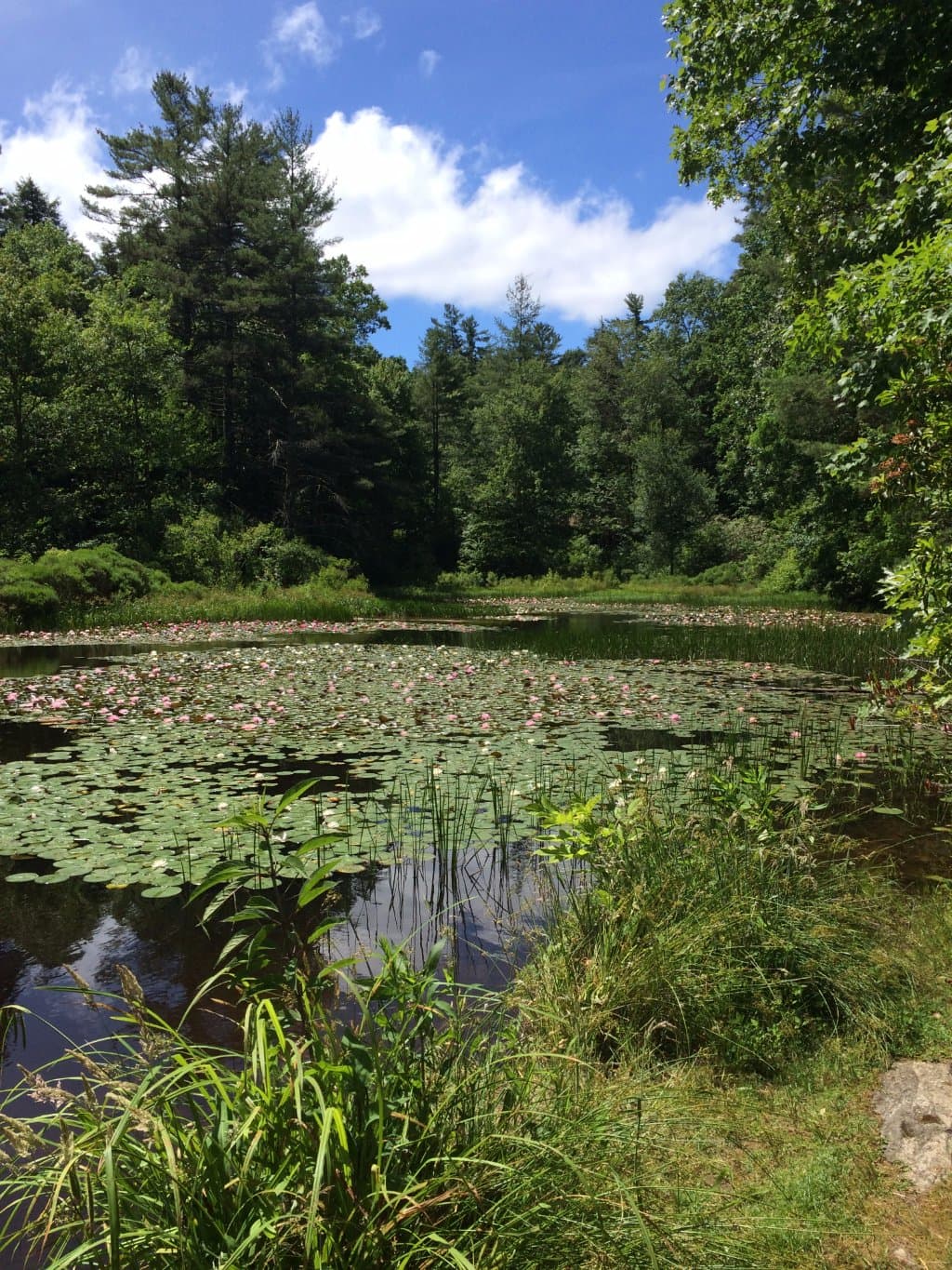 Highlands Biological Station and Nature Center