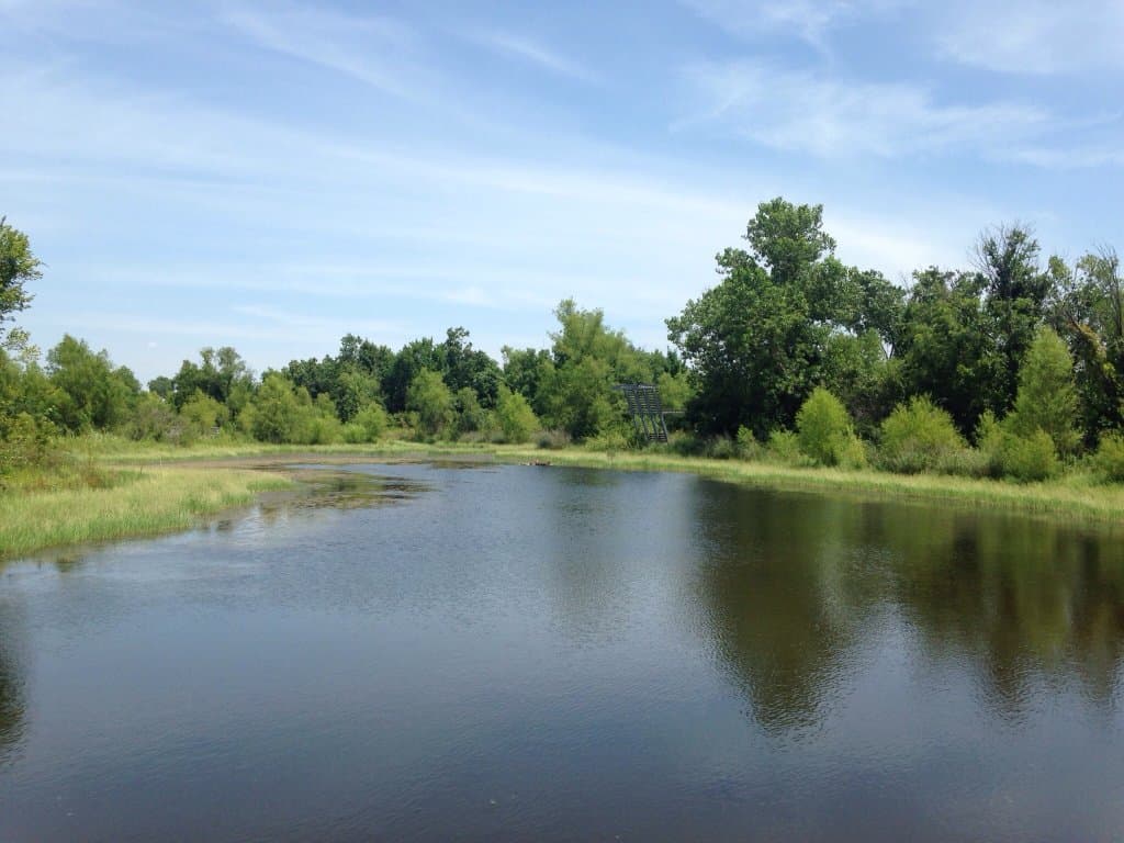 Trinity River Audubon Center