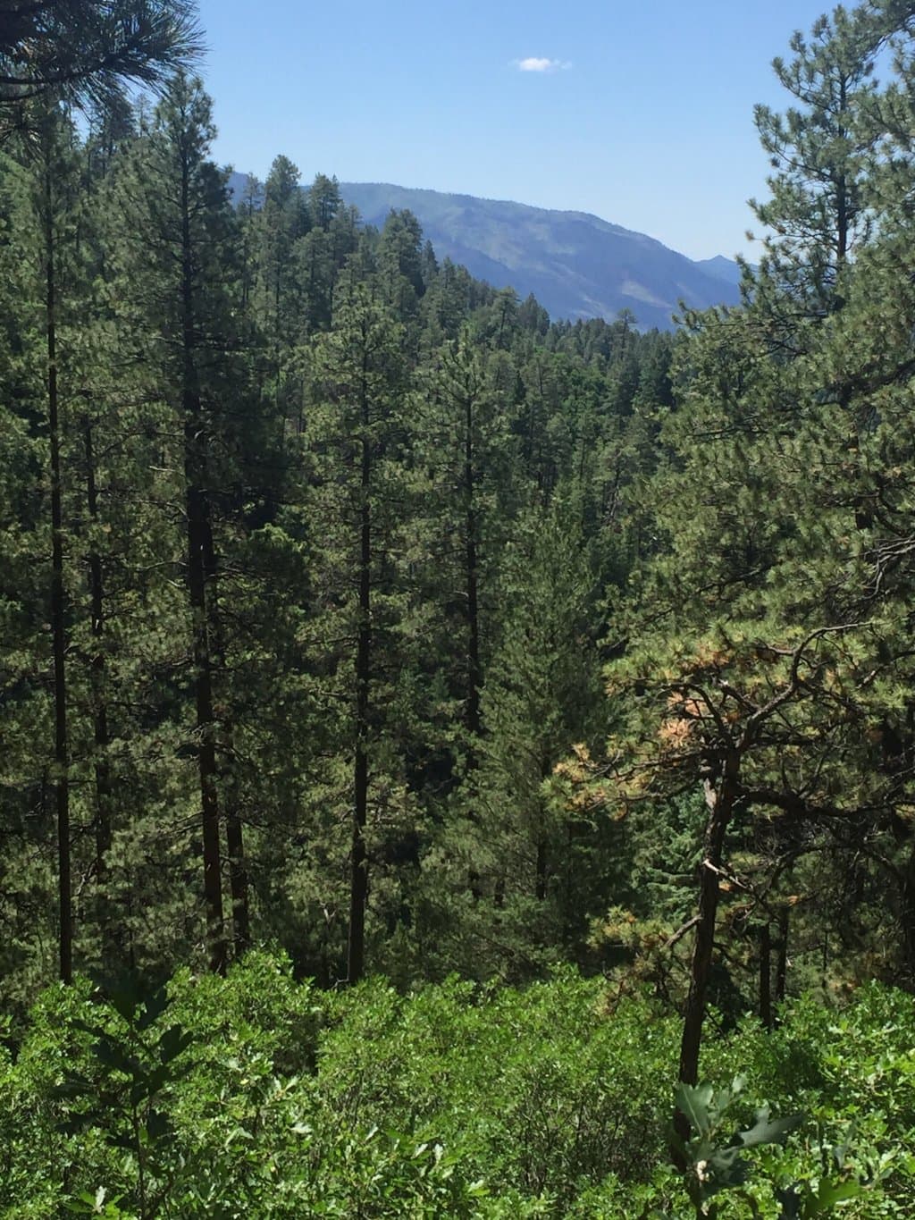 Beautiful trail pics
