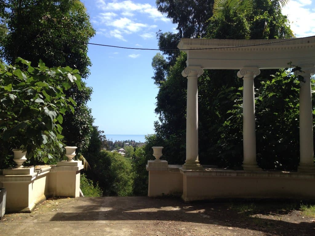 красивое местечко на подъеме к питомнику