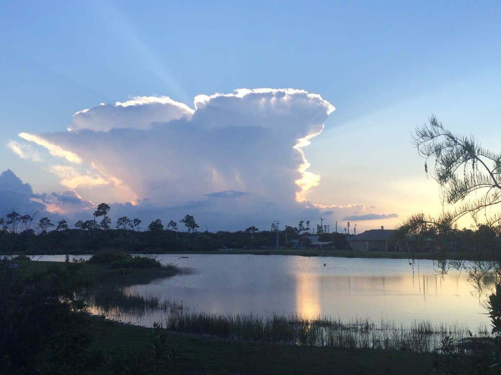 Looking across the pond from the bike path