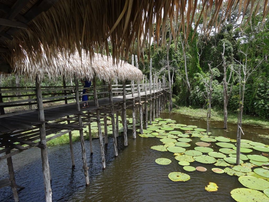 Parque